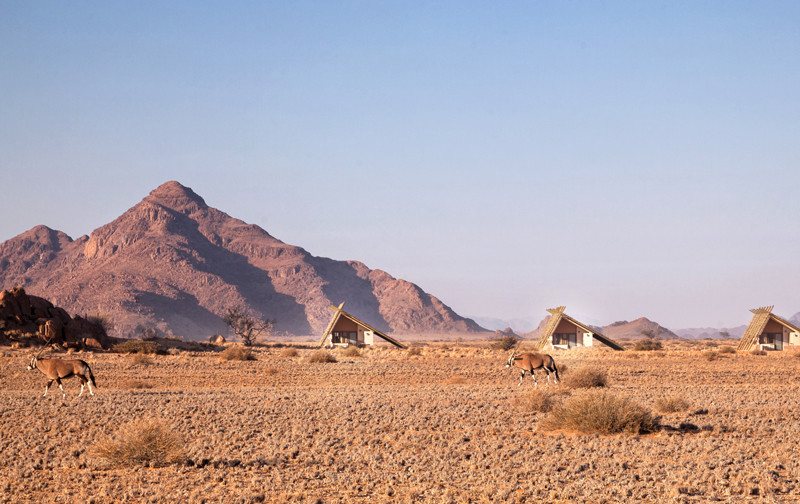 Desert Quiver