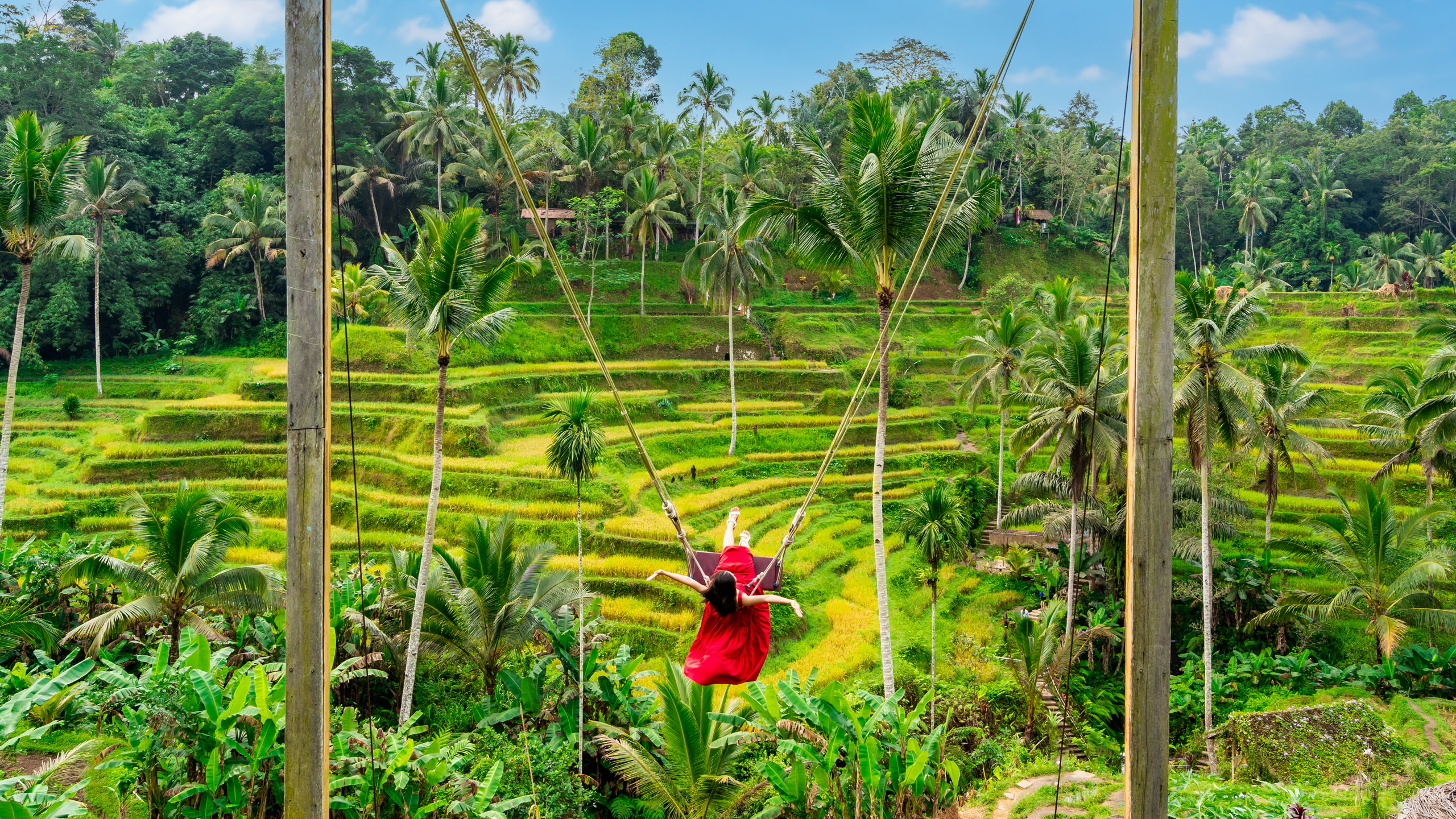The Bali Swing - Bali holidays