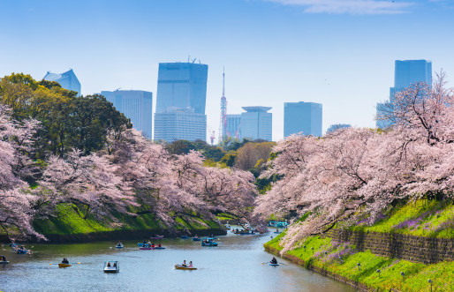 Sumida River, Tokyo