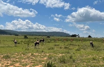 Entabeni Lakeside Lodge