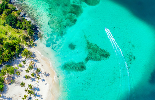 Caribbean beach with white sand and palm trees