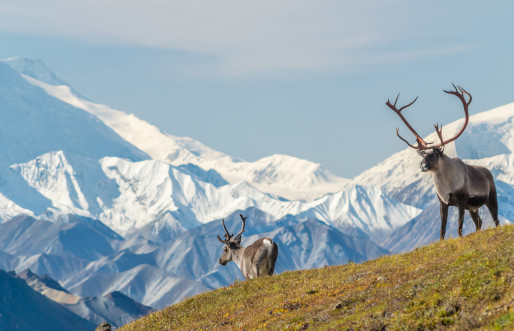 Alaska