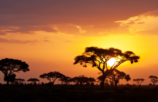 Kenya