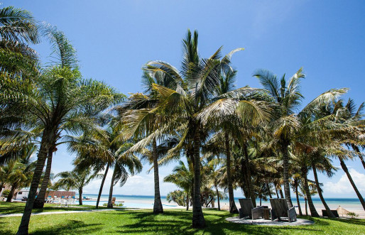 Vilanculos Beach Lodge Beach Palm trees
