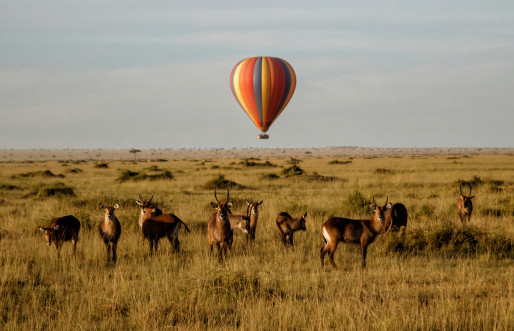 Kenya