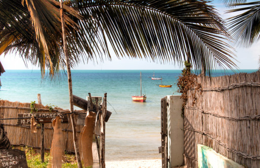 Palm trees along the sea shore, Mozambique