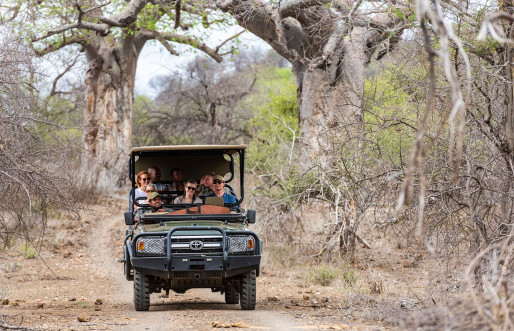 Return Africa Pafuri Tented Camp