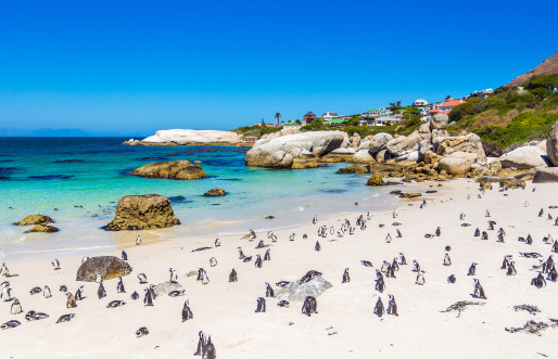 Cape Town