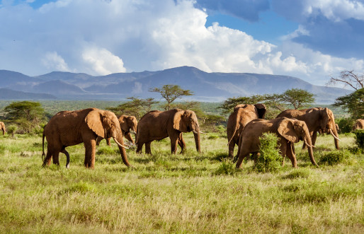South Africa