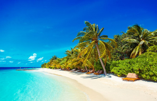 Lily Beach Resort & Spa Maldives