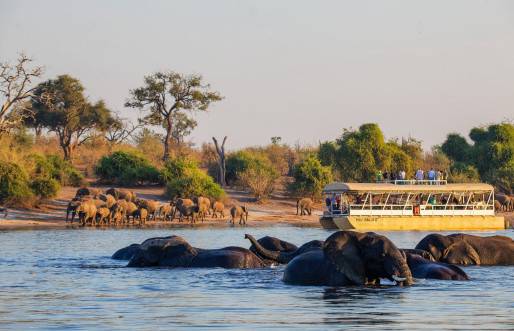 Chobe Safari Lodge