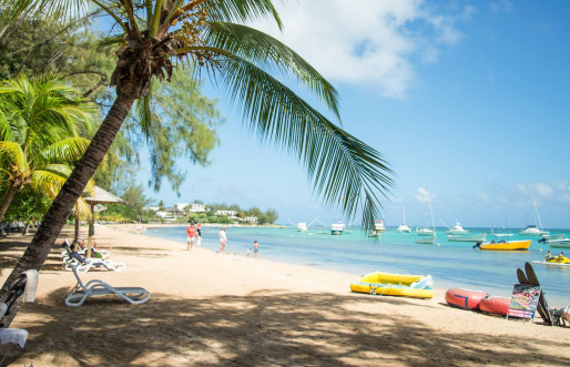 Beach with palm tree