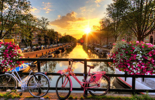 Pink bike on a bridge in Amsterdam