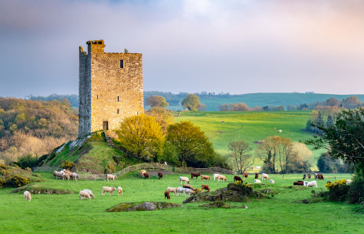 Carrigaphooca Castle, "The Rock of the Fairies," captured in evening light from the northeast, graces the Irish landscape.